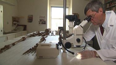 Acordaron $50 millones más para los laboratorios forenses