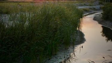 Este domingo date una vuelta por el Parque Sarmiento, desde tu casa