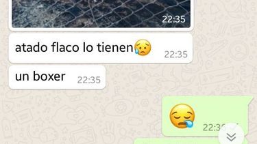 Los lectores denunciaron nuevos casos de maltrato animal, en Rawson y 9 de Julio