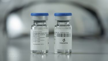 Buscan que lleguen a San Juan entre 300 y 500 dosis de suero equino hiperinmune