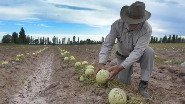 Sarmiento se quedará sin corsos de carnaval para ayudar a los chacareros afectados por el granizo