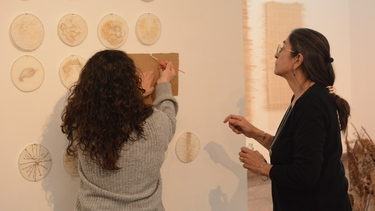 Entre apariciones y mitos, cuáles son las nuevas propuestas del Museo Franklin Rawson