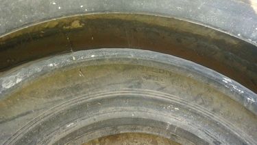 Un lector dice que hay larvas de mosquitos en el Autódromo El Zonda