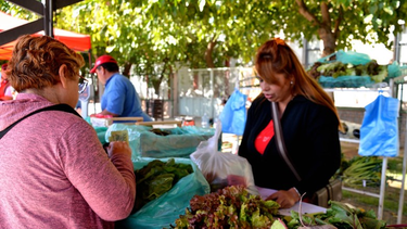 Se viene una nueva edición de la Feria Agroproductiva.