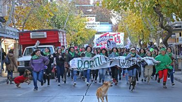 Ni una menos colmó las calles del centro con dos pedidos: aborto legal y contra la violencia