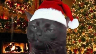 Memes de Navidad.