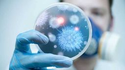 Cómo actúa la cepa de COVID-19 que rodea San Juan y por qué es una de las más peligrosas