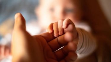 Convocatoria pública de adoptantes: estudian lanzar nuevos llamados en San Juan