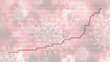 San Juan sumó 14 casos de coronavirus en el último mes