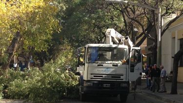 El viento Zonda comenzó otra vez con los destrozos