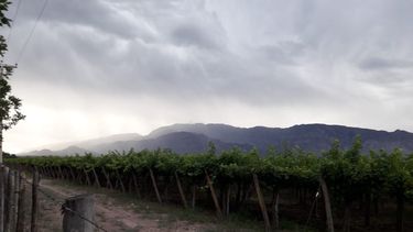 Lanzan alerta por la llegada del Sur y ¿lluvias?