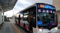 Cómo funcionarán los servicios el lunes feriado en San Juan.