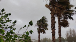 Mirá cómo estará el tiempo este sábado en San Juan