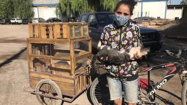 Invento sanjuanino: tiene 14 perros y creó Bichiflet, la iniciativa caucetera para transportar mascotas