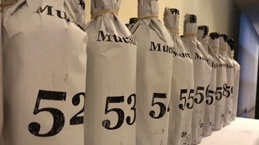 Tres malbec sanjuaninos la rompieron en una competencia federal