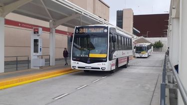 Importante: extienden el boleto gratis de colectivo en San Juan hasta el 31 de diciembre