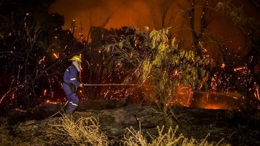 Lo que el viento Zonda provocó: Bomberos tuvo 41 intervenciones por incendios forestales