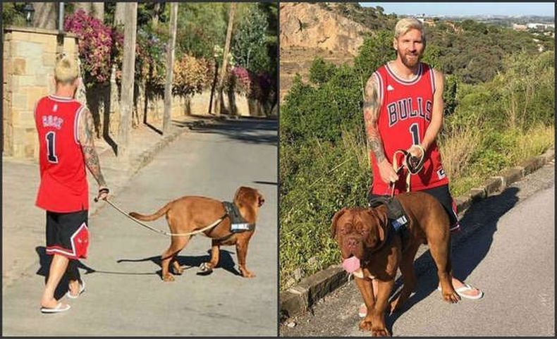 Messi store chicago bulls