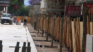 Punto final para la pulseada judicial por los árboles de la Peatonal