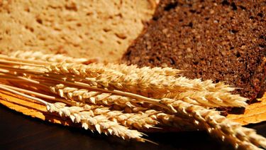 Continúa la entrega de módulos alimentarios para celíacos