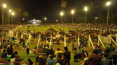 Las mejores postales de la multitudinaria Fiesta de las Destrezas Criollas y el Folklore