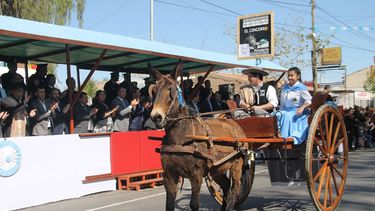 Mirá el color del multitudinario desfile por los 108 años de Rivadavia