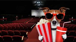 Mirá si ganaste entradas para ir al CPM Cinema