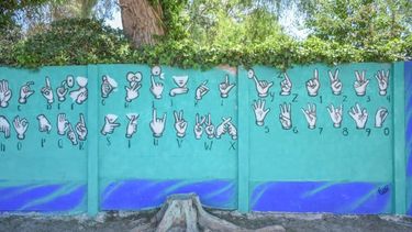 Solidario y artístico: murales para promover la inclusión