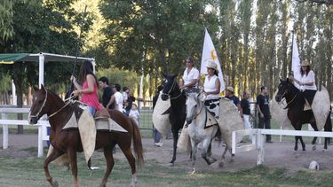 Mirá las imagenes del Concurso de Caballos Peruanos