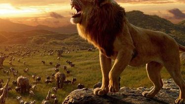 Todo un éxito en el estreno del Rey León en San Juan