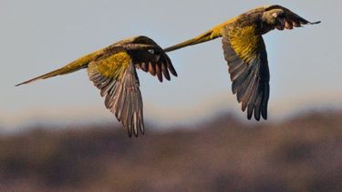 Día por día, así estará el tiempo este finde XL en San Juan