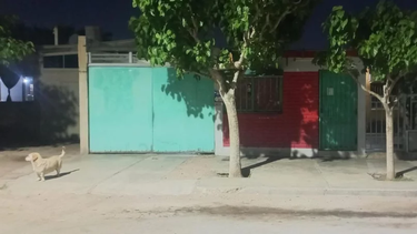 Rawson: un nene fue a ver si estaba abierto el kiosco y lo atacó un perro