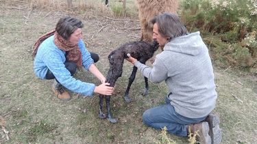 Un viaje al origen: el turismo experimental en San Juan