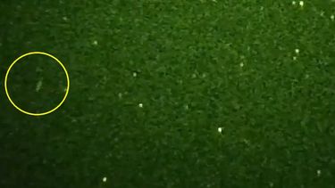 Sorpresa en Albardón: filmaron un objeto no identificado en el cielo