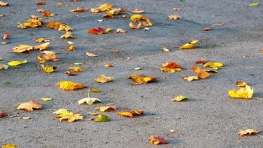 Se espera un martes ventoso en San Juan