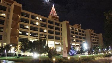 Un imponente árbol de Navidad en plena ciudad sanjuanina