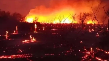 El fuego arrasó distintas zonas de Valle Fértil, dejando a su paso animales muertos y la flora devastada. Foto: Radio Vibra
