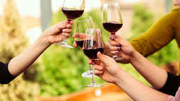 La interesante propuesta de San Juan para celebrar la Semana del Bonarda