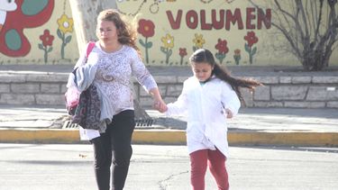 Mirá cómo quedó la web con el Zonda