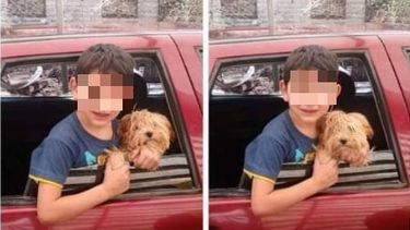 Le robaron la perra a un niño con autismo y quedó seriamente afectado