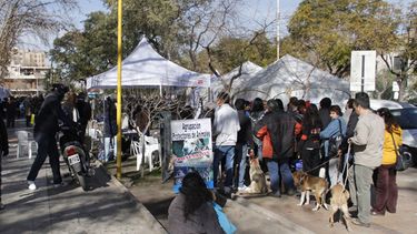 Llegó la ambulancia para mascotas a San Juan