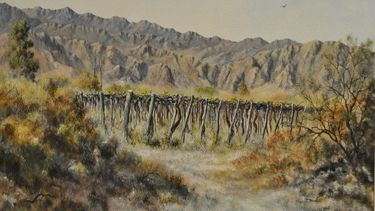 Paisacampo...con olor a jarilla cautiva con imágenes sanjuaninas