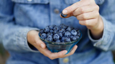 Hay tres frutas que cuidan la salud cerebral de las personas que las tienen incluidas en sus dietas.