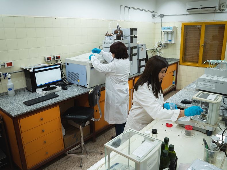 En sus laboratorios, Canme busca certificar los más altos estándares científicos y médicos para acercar a la comunidad un producto de calidad farmacológica.
