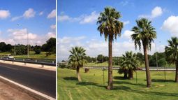 La hazaña de mantener verde y limpia la Circunvalación