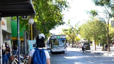 Red Tulum: sin fecha de largada y haciendo correcciones, ¿subirá el boleto?