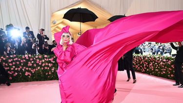 Met Gala 2019: mirá todos los looks de la alfombra rosa
