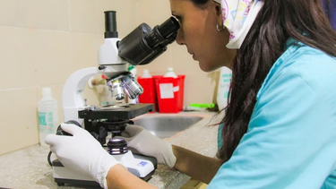 La detección de garrapatas de perro en animales salvajes fue realizada por especialistas del Parque Faunístico.