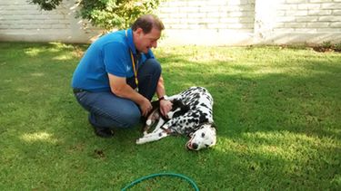 El psicólogo de perros