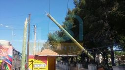 La caída de un enorme poste preocupa a quienes pasan frente al Marcial Quiroga